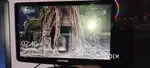 Samsung monitor 19 inch