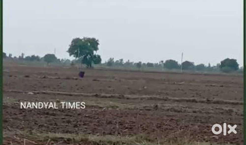 20 cents , each cent 2 lakhs