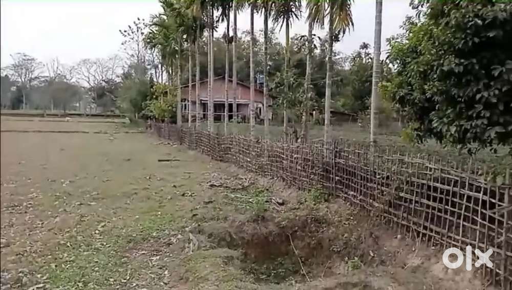 Plot for sale at Bokpara Kuchiakhana.