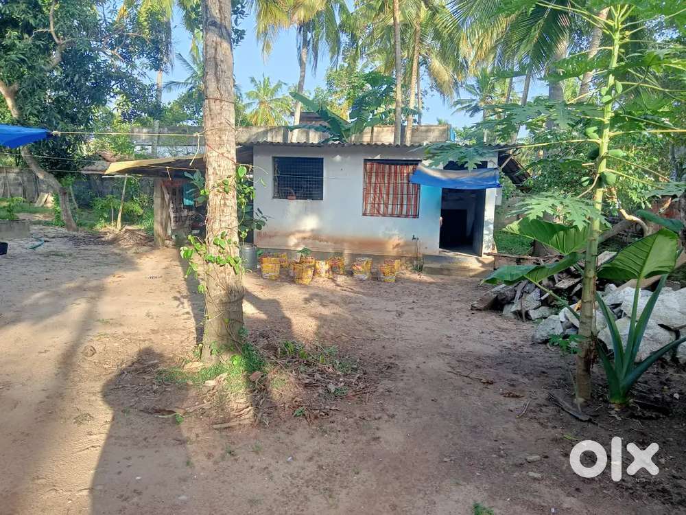 കഴക്കൂട്ടം മേനംകുളം ചിറ്റാറ്റുമുക്ക്