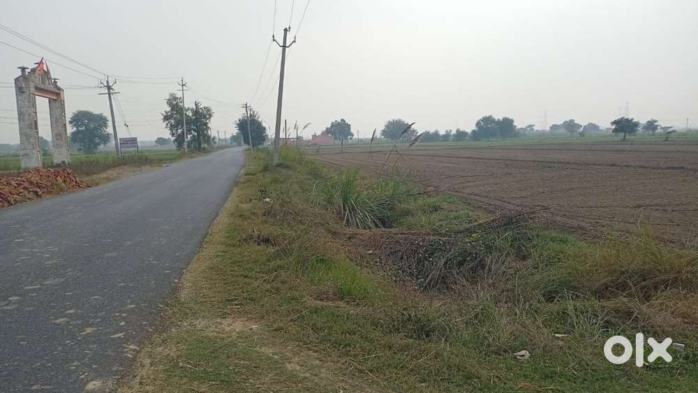 Agriculture land near jewar airport