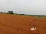 2 Acre land