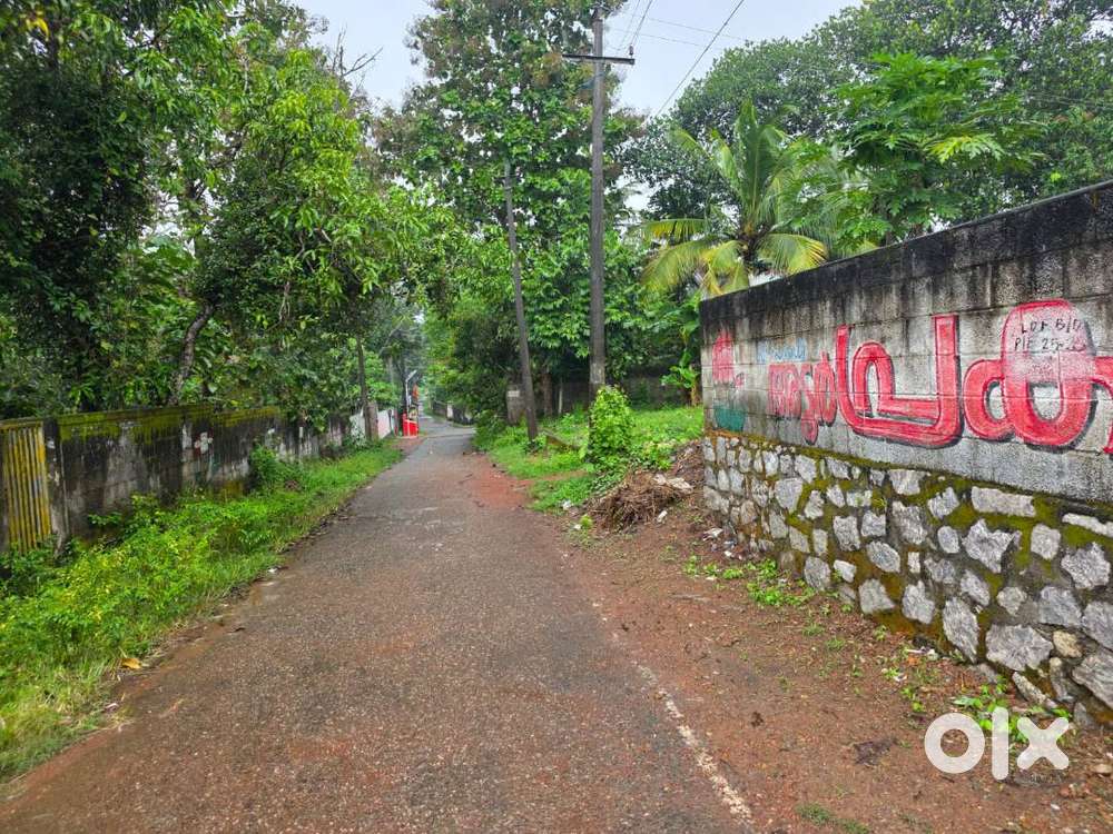 11 Cent Residential plot TIS Road Chempagamangalam Korani Attingal TVM