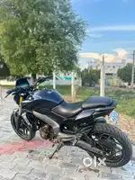 2017 model tn63