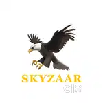 Sales executive