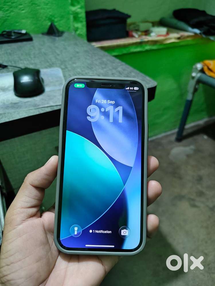 iPhone 12 Pro