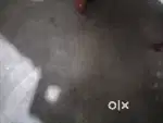 1kotha 4losa land ,seuni ali Dhenusucha