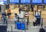 Hiring Ground staff job in Airport/Airline for Fresher/experience all
