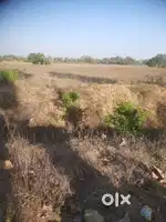 LAND SALE IN ,PARAIIYA GAYA