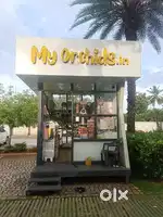My Orchids-Sales Staff
