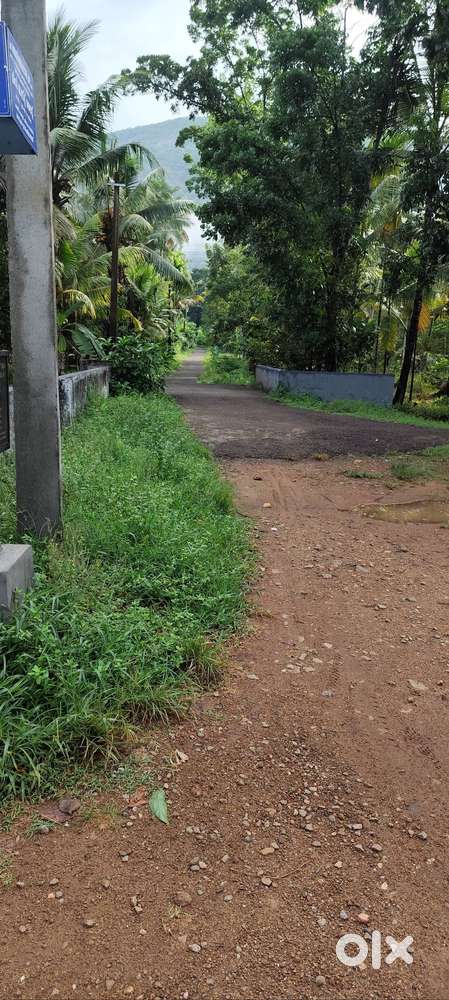 ജാതി തോട്ടം വിൽപ്പനയ്ക്ക്