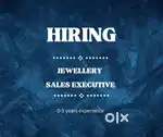 Sales Executive