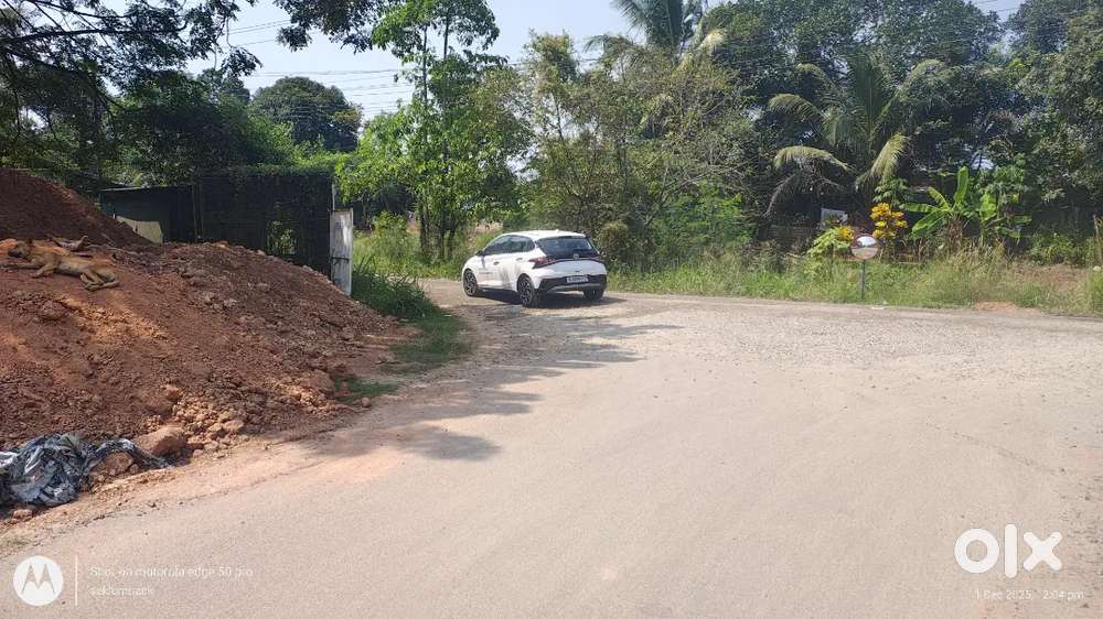 Looking for driver job