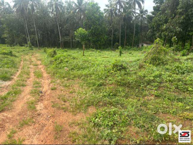 House plot for sale near Puthuppariyaram, Palakkad