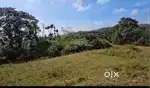 25 Acre neglected plantation / vacant land  – Near Sakleshpur (Hassan