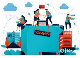 2025 JOB FRESHER JOB