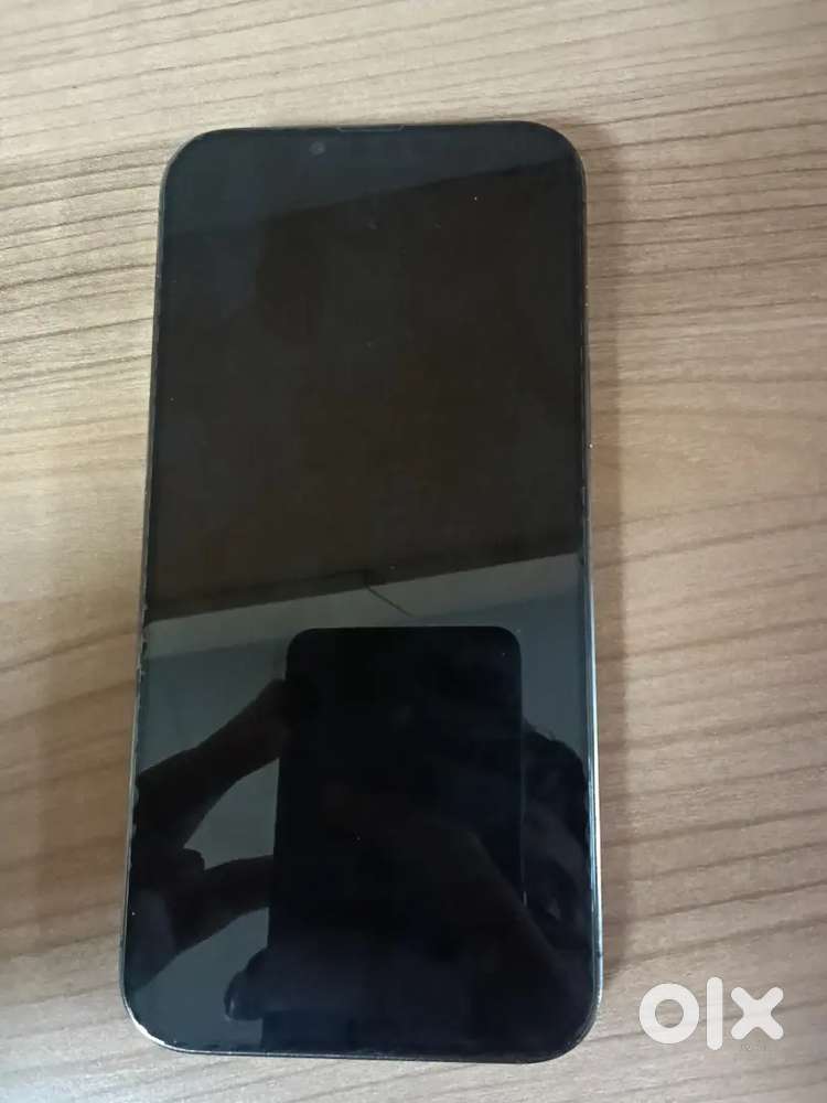 iPhone 13 pro max