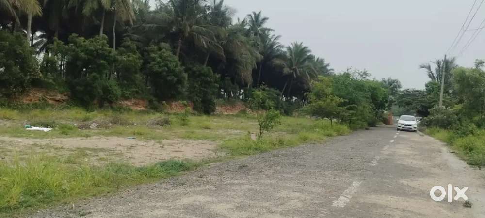 PLOT FOR SALE @ OTHAKALMANDABAM