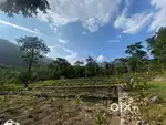 Registered tribal land 3.40 acres  at (BUnGKULuNG above dudhia)
