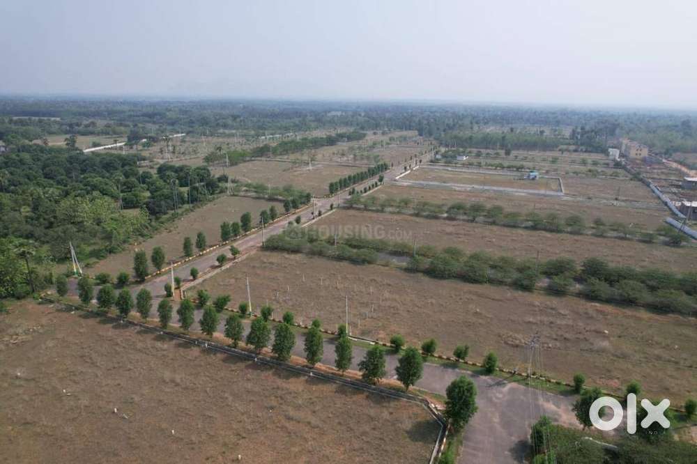Limited Offer! Perfect Investment Plots Starting at Just ₹14LL