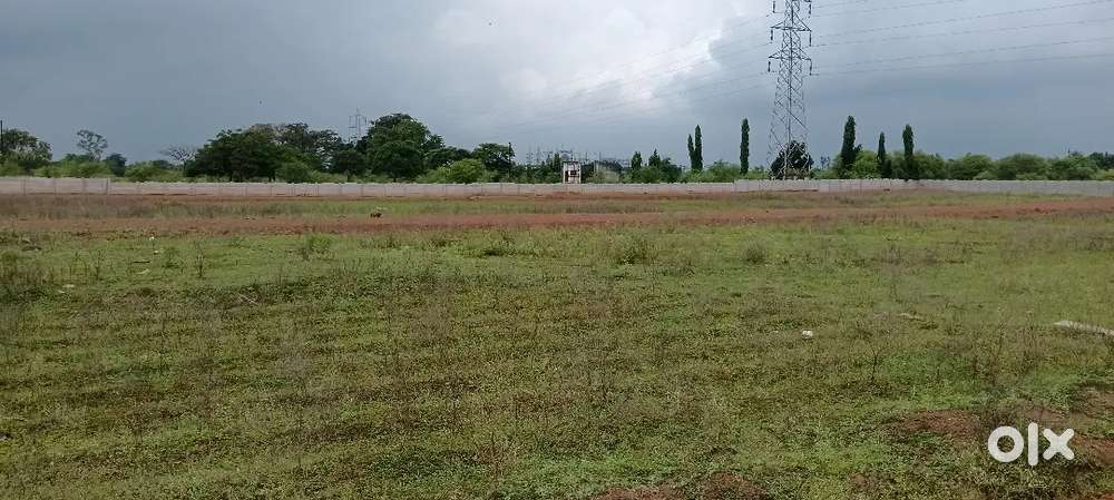 Pacpedi naka telibandha job
