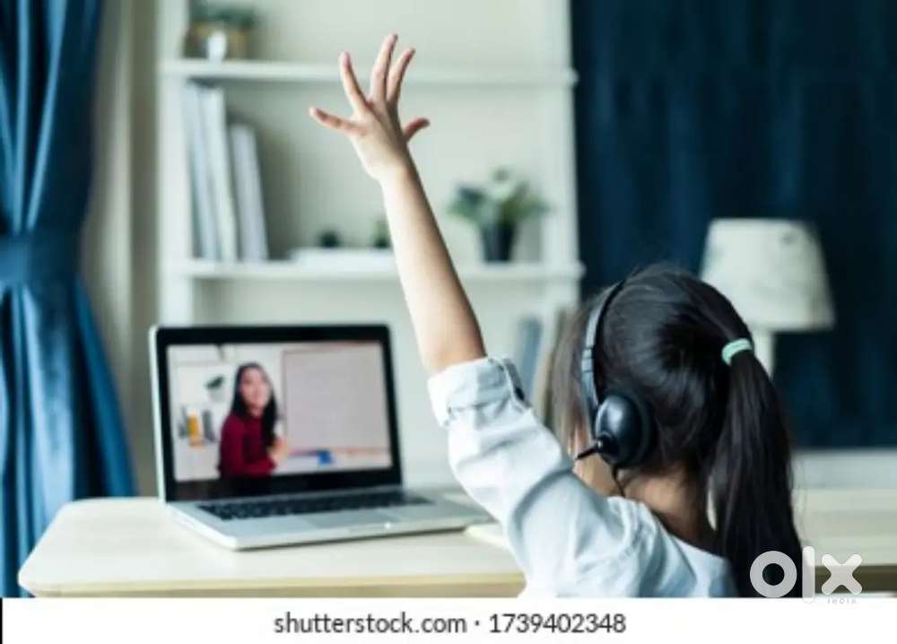 Online Teacher and Counsellor