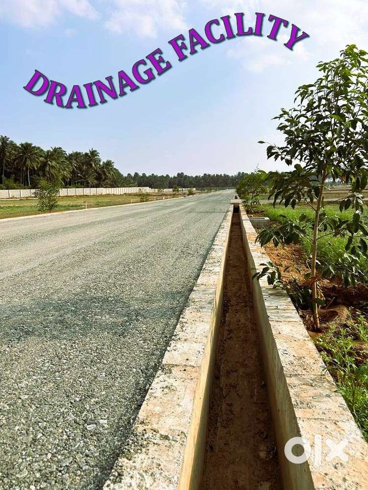 33' & 40' FT THAAR ROAD, GATED COMMUNITY PLOT FOR SALE