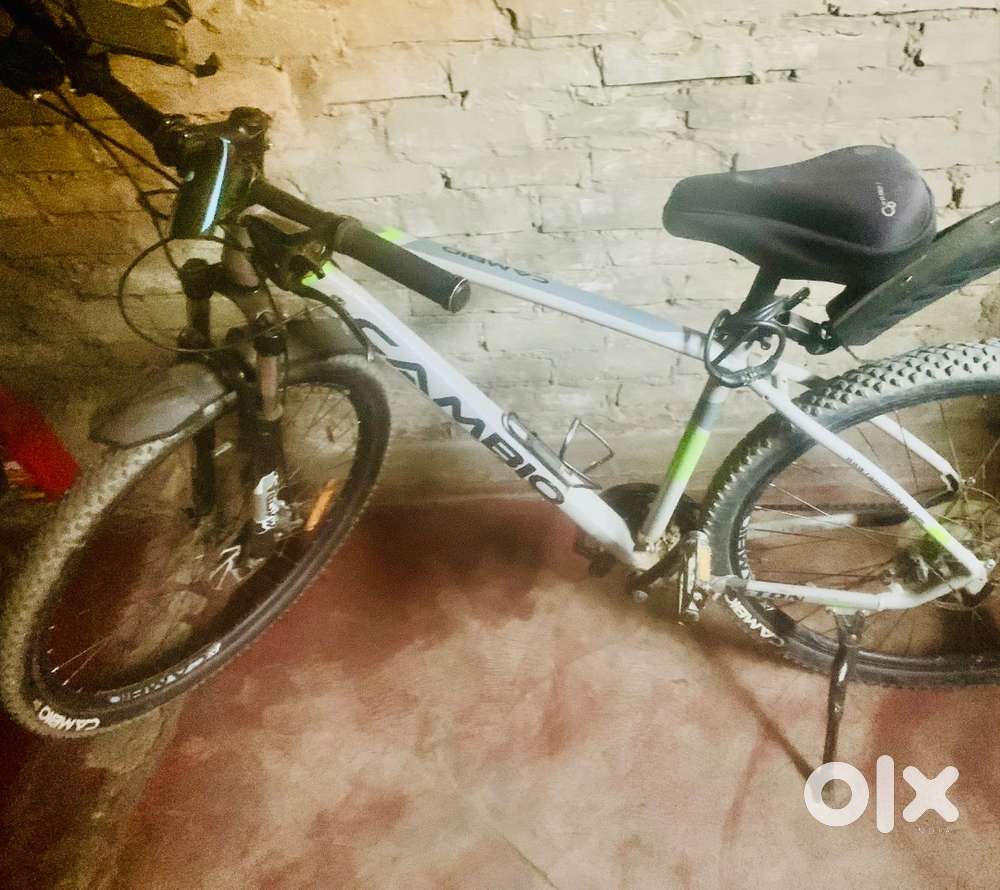Cambio cycle
