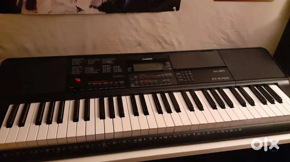Orgen casio new hai