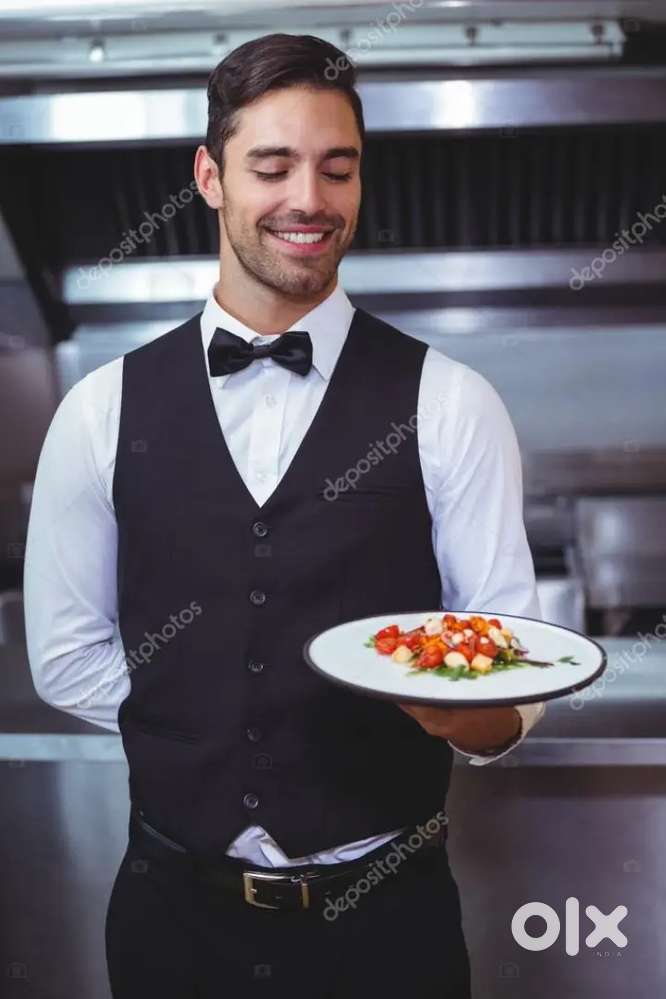 Urgent - '-Waiter // Service Boy  // Steward Helper // Fresher Helper