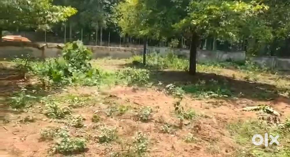 9 cent plot for sale in manjapra