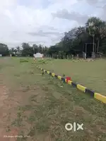 City Plots