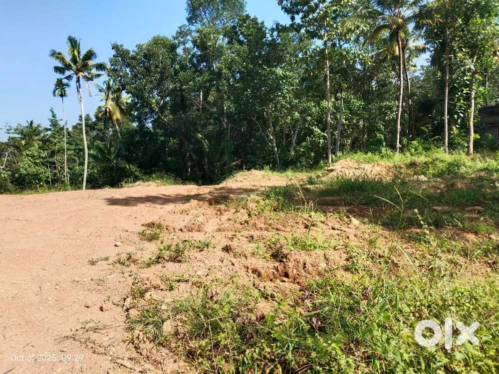 5 സെൻറ് വില്പനയ്ക്ക്