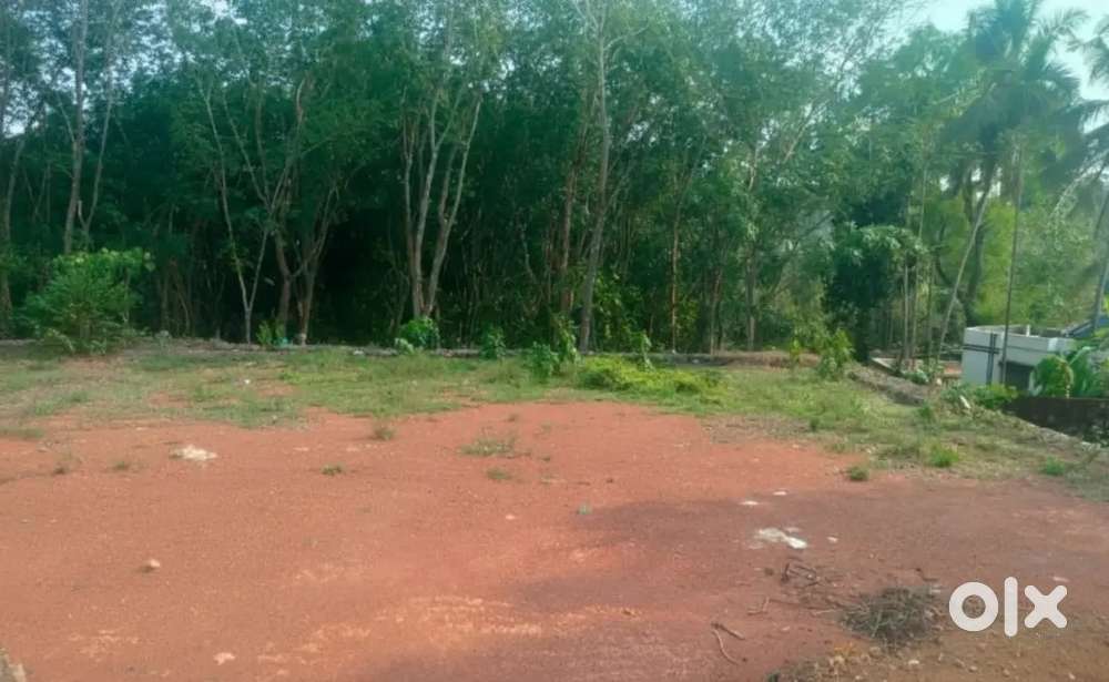 7 cent Residential Plot for Sale in 
Venjaramoodu