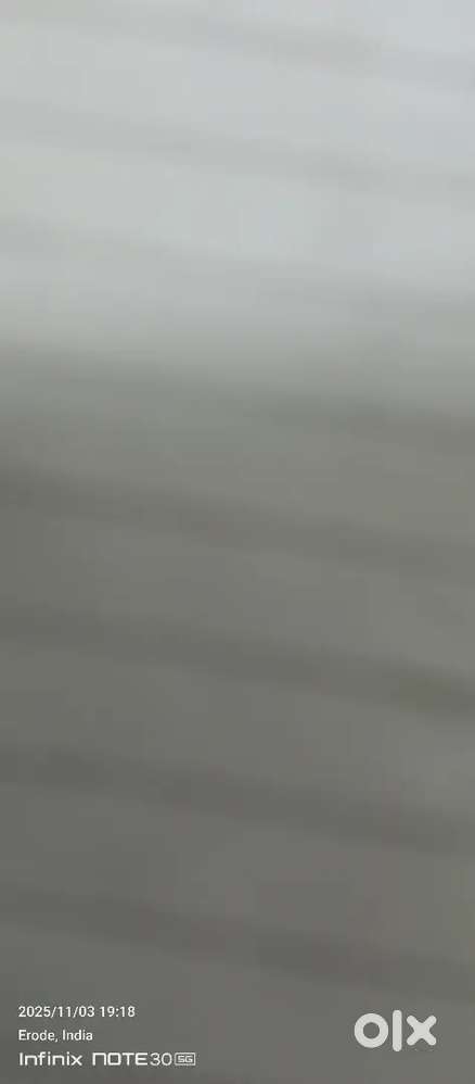 Chinese or parotta master