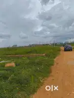 Plot seal near KIIT University back side