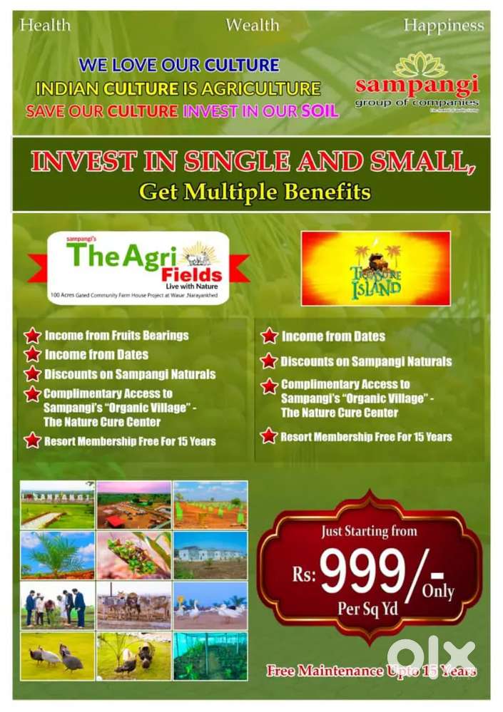 Investment in Single and Small, Get Multiple Benefits