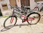 Avon cycle