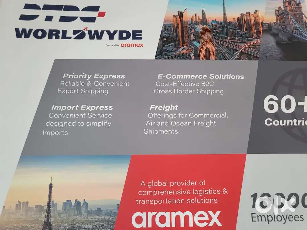 Need female/male candidate for basic computer work & excel knowledge