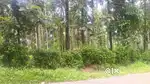 അടിച്ചിലി ജംഗ്ഷനിൽ നിന്നും 300 മീറ്റർ അടുത്ത്.