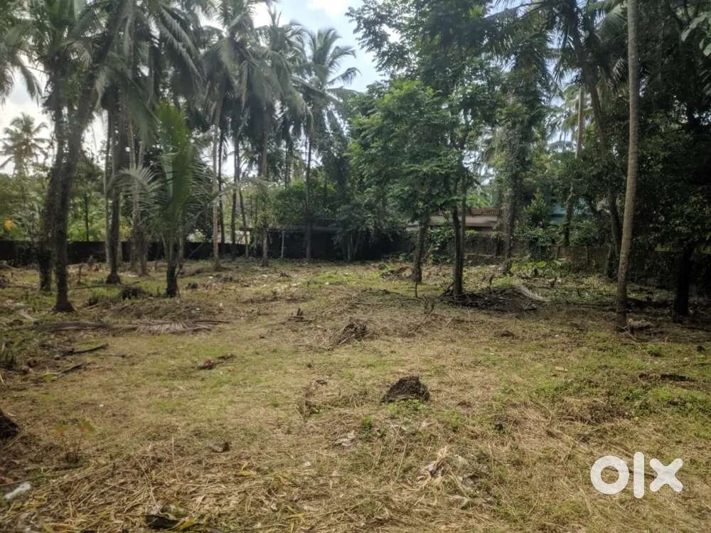 35 cent commercial plot for sale near kunduparambu road fron