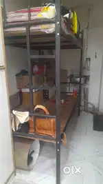 Two tier Bunk bed with mattresses and ply with ladder,only 1month old