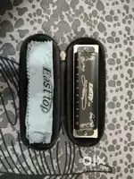 MOUTH ORGAN