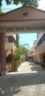 House for lease in Velachery