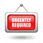 REQUIRED MARKETING PERSON