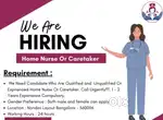 Patient care taker