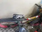Bicycle big tayar