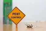 All Pest control Services