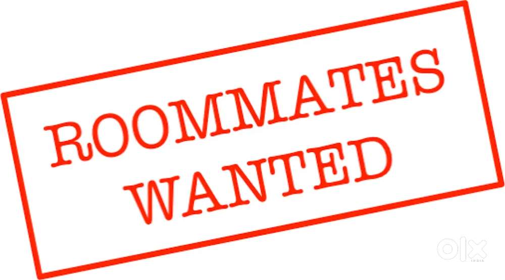 Required 2 Roommate