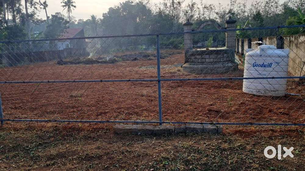 49 Cent Residential Plot for Sale – Prime Location – ₹2.5 Lakhs/Cent